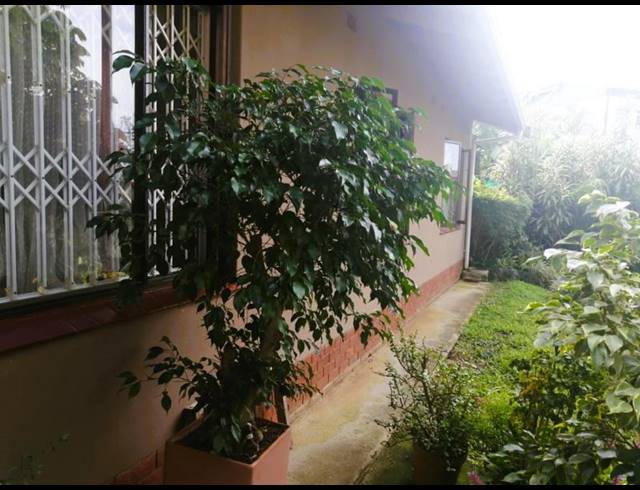 3 BEDROOM HOUSE FOR SALE IN OSLO BEACH